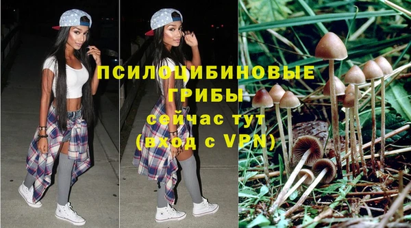 крисы Иннополис