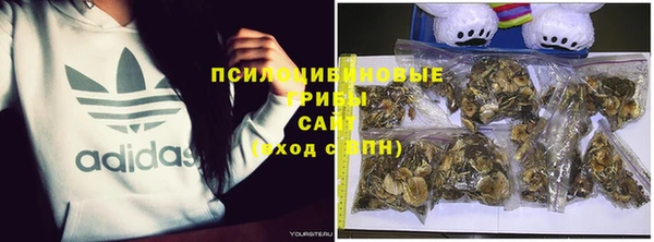 таблы Инта