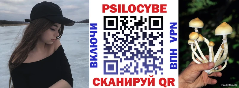 Купить где  Чебоксары  Галлюциногенные грибы Cubensis 